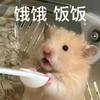 脱脂小妍