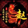 子龙zyg