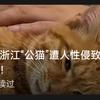 啊彬彬