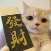 大拿电商讲解