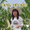 自贡小林呀