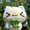 四叶草日记🍀