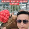 松江矮红黑马队（放牛娃）发哥