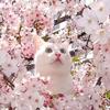 魚魚 RU