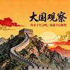 大国之观察