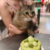 黎发财
