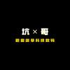 坑哥（就想买个投影仪）