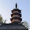 沪上涨公子🔥