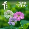同在蓝天下