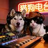 猫狗电台