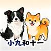 🐶小九和十一呐