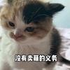 小猫饼崽汁