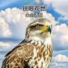锐眼观世