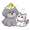 发发洗猫小分队