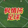 枫情扬足球