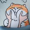 肥猫说