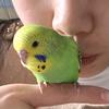 韩小小（小🐥豆包）