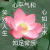盐究员