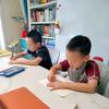 阳阳妈家两兄弟