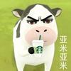 爱喝星巴克