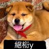 絕椼y