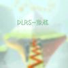 DLRS-旅程