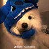 ch.念念