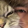 逃离猩球