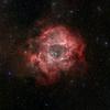 Rose-NGC2237