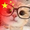 🌸不吃鱼的猫🌸