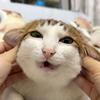蛋蛋还有蛋