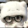 豚豚养料