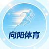 向阳体育