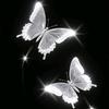 双生丨互动点唱🦋