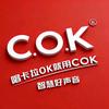 COK智慧好声音