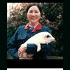 荣昌猪妈妈 郭平