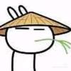 宁平
