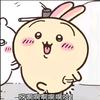 手刹精算师谋兔兔