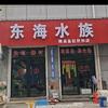 东海水族（峰峰矿区店）