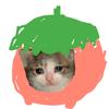 番茄味的西红柿猫