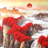 心境伴岁月：
