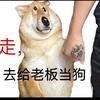 小狗日记