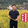 湘西稻鱼鸭钟哥
