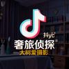奢旅侦探