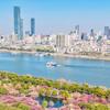 长沙市岳麓区抖抖易百货零售商行（个体工商户）
