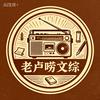 老卢唠文综