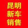 钱林虎昆明新车销售