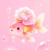 ✨依吾✨