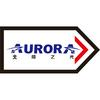 Aurora北极之光车灯