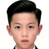 丝带王桂圆